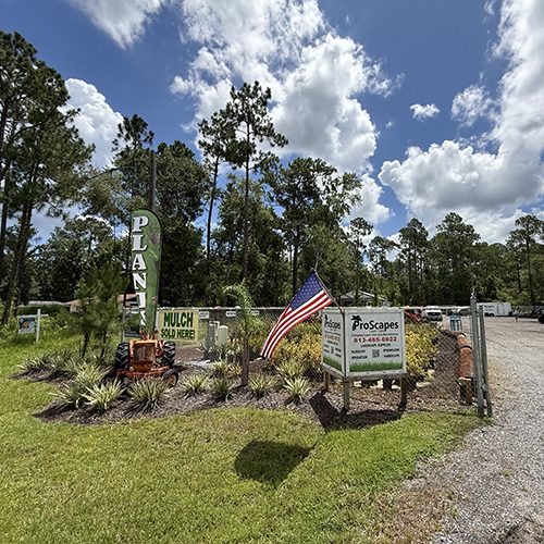 Entrance of Nursery and Garden Center in Webster Florida