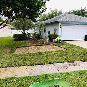 Employee of Landscaping Company Installing Sod Outside Wesley Chapel Residential Apartment